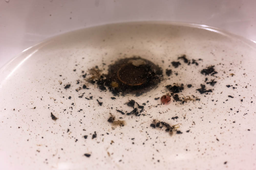 severely clogged drain
