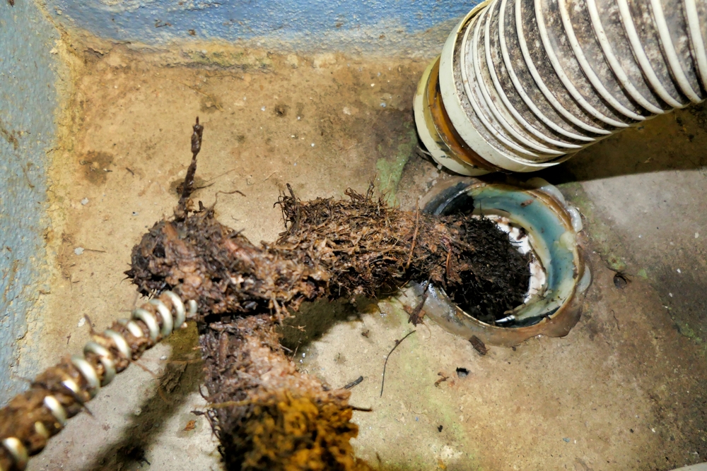 clogged sewer line Small action figures and building blocks frequently take a plunge down the toilet. These plastic obstacles lodge in bends and collect traveling debris until your system stops completely.