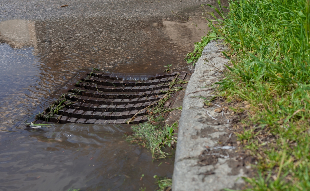 rainwater going down the sewer drain