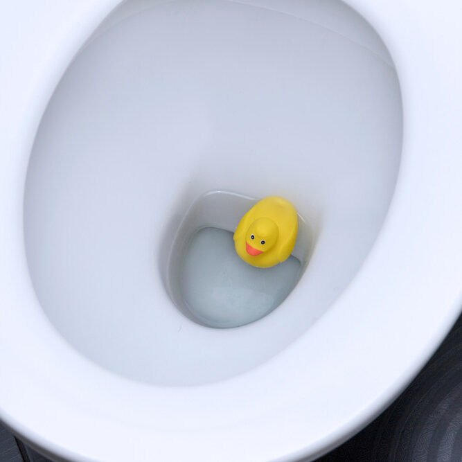 toy in a toilet